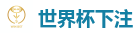2026 FIFA 世界杯(下注)官方中文站